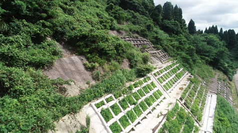 主要地方道高岡羽咋線道路総合交付金(防災・災防・修繕)法面工第2工区工事